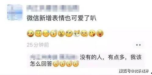 旺柴拥抱吃瓜,一场温馨与幽默的跨界盛宴