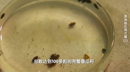 吃瓜不吐子,揭秘娱乐圈的幕后真相
